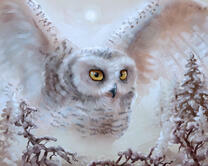 Без бренда «2KMB-3848» в Набережных Челнах