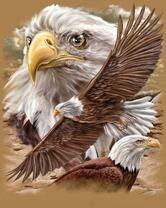 Без бренда «2KMB-4315» в Набережных Челнах