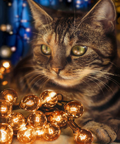 Без бренда «2KXSB-0678» в Набережных Челнах