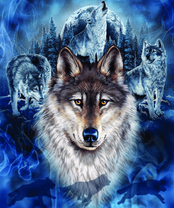 Без бренда «2KXSB-0687» в Набережных Челнах