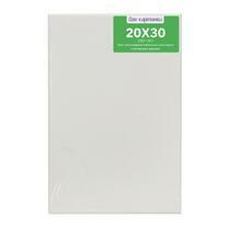 Без бренда «Коробка 80 шт.: Холст Две картинки на подрамнике 20X30» в Набережных Челнах