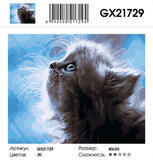 Картина по номерам 40x50 Маленький мега пушистый котёнок