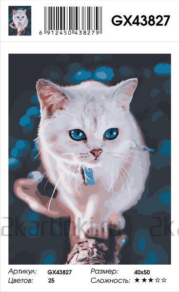 Картина по номерам 40x50 Светлая кошечка с голубыми глазами