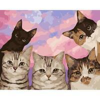 Без бренда «Такие разные котики» в Набережных Челнах в интернет-магазине  Без бренда «Такие разные котики» в Набережных Челнах