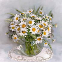 Без бренда «Букет свежих ромашек» в Набережных Челнах