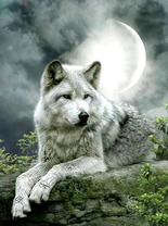 Без бренда «Коробка 25 шт. картин по номерам BOX25-GX21058» в Набережных Челнах