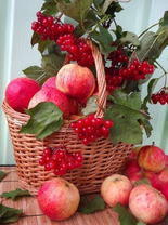 Без бренда «Коробка 25 шт. картин по номерам BOX25-GX5174» в Набережных Челнах в интернет-магазине  Без бренда «Коробка 25 шт. картин по номерам BOX25-GX5174» в Набережных Челнах