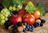 Без бренда «Фрукты, ягоды и орехи» в Набережных Челнах в интернет-магазине Без бренда «Фрукты, ягоды и орехи» в Набережных Челнах