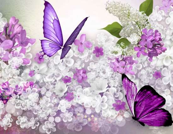 Картина по номерам 40x50 Фиолетовые бабочки на цветущей сирени