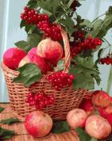 Без бренда «Плетёная корзина с калиной и яблоками» в Набережных Челнах