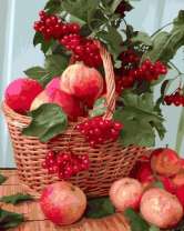 Без бренда «Плетёная корзина с калиной и яблоками» в Набережных Челнах в интернет-магазине  Без бренда «Плетёная корзина с калиной и яблоками» в Набережных Челнах