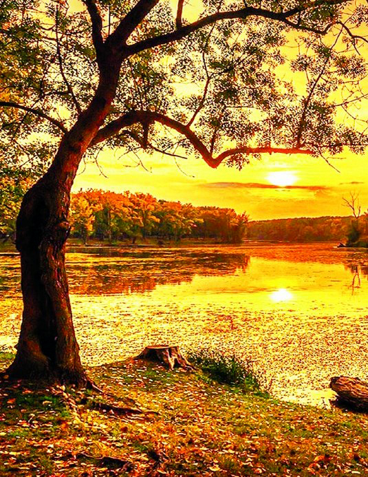 Алмазная мозаика 40x50 Золотистое солнце над осенней рекой