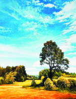 Без бренда «Осенний пейзаж с голубым небом» в Набережных Челнах в интернет-магазине  Без бренда «Осенний пейзаж с голубым небом» в Набережных Челнах