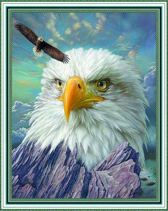 Алмазная мозаика 40x50 Портрет горного орла