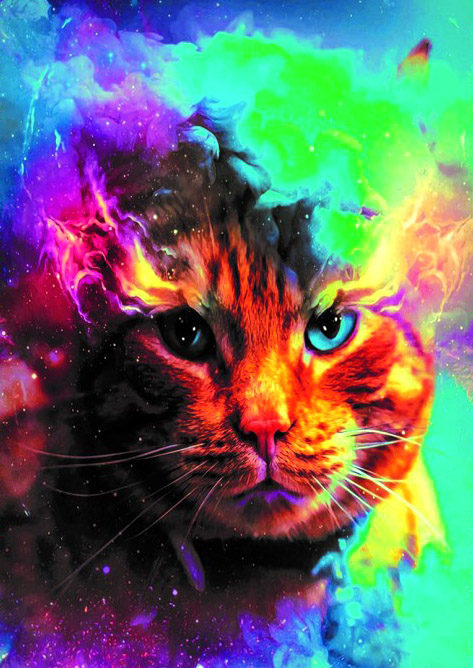 Алмазная мозаика 30x40 Рыжий кот в разноцветной дымке