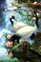 Без бренда «Коробка 25 шт. картин по номерам BOX25-GX29399» в Набережных Челнах