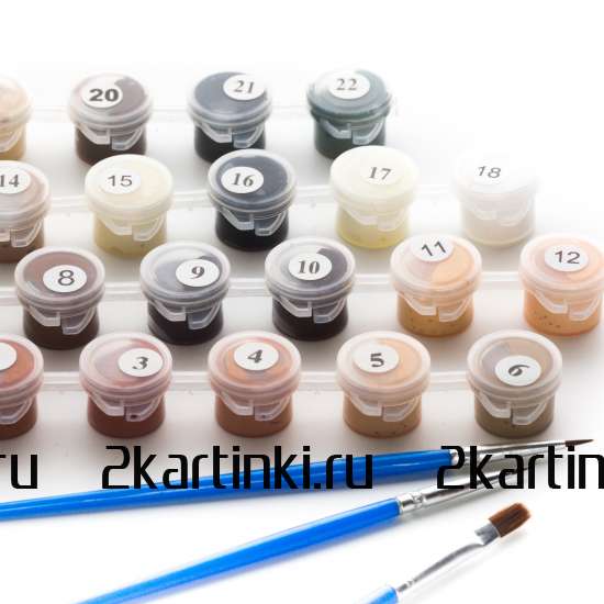 Картина по номерам 40x50 Test4 за 0 руб. в интернет-магазине Картина по номерам 40x50 Test4