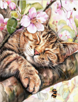 Без бренда «Волосатый котик спит на ветви яблони» в Набережных Челнах