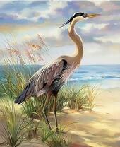 Одинокий журавль на берегу моря