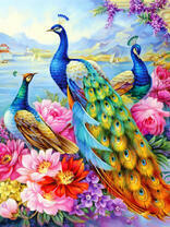 Три павлина и цветущие розы у моря